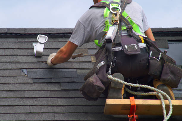 Best Roof Leak Repair  in Wapello, IA