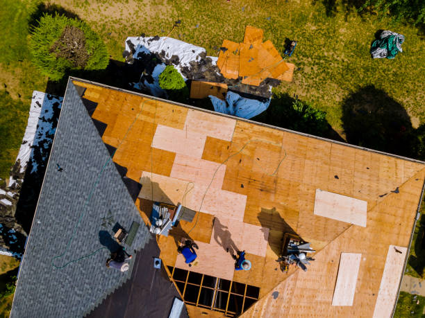Best Commercial Roofing Services  in Wapello, IA