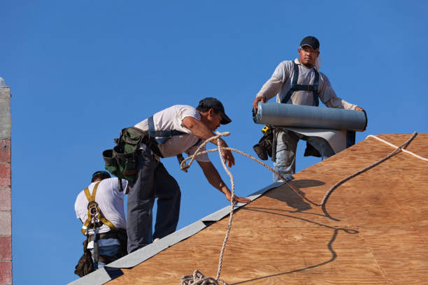 Best Tile Roofing Contractor  in Wapello, IA