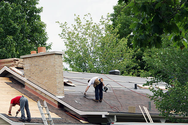 Best Roof Maintenance Services  in Wapello, IA