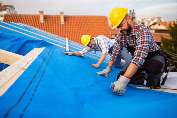 Best Roof Waterproofing Services  in Wapello, IA