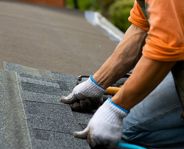 Best Slate Roofing Contractor  in Wapello, IA