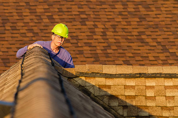 Best Tile Roofing Contractor  in Wapello, IA