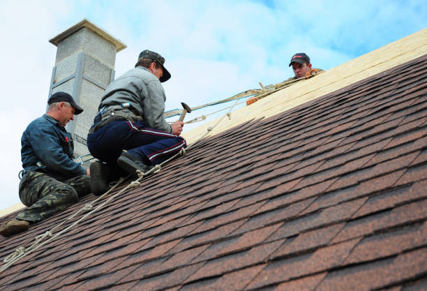 Best Best Roofing Contractors  in Wapello, IA