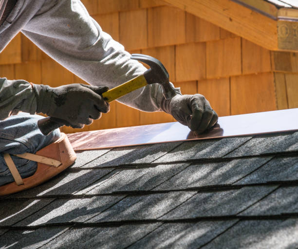 Best Shingle Roofing Installation  in Wapello, IA